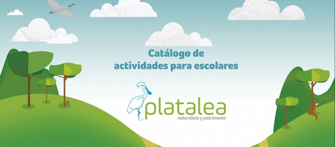 Actividades escolares Huelva