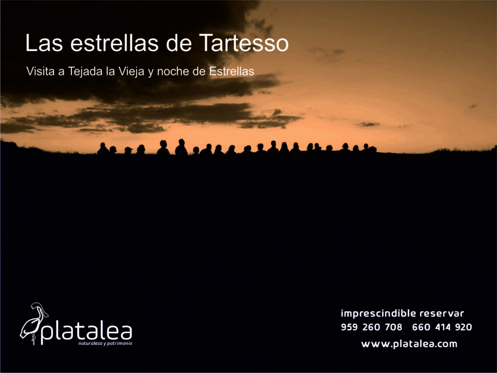 Tejada 1 scaled