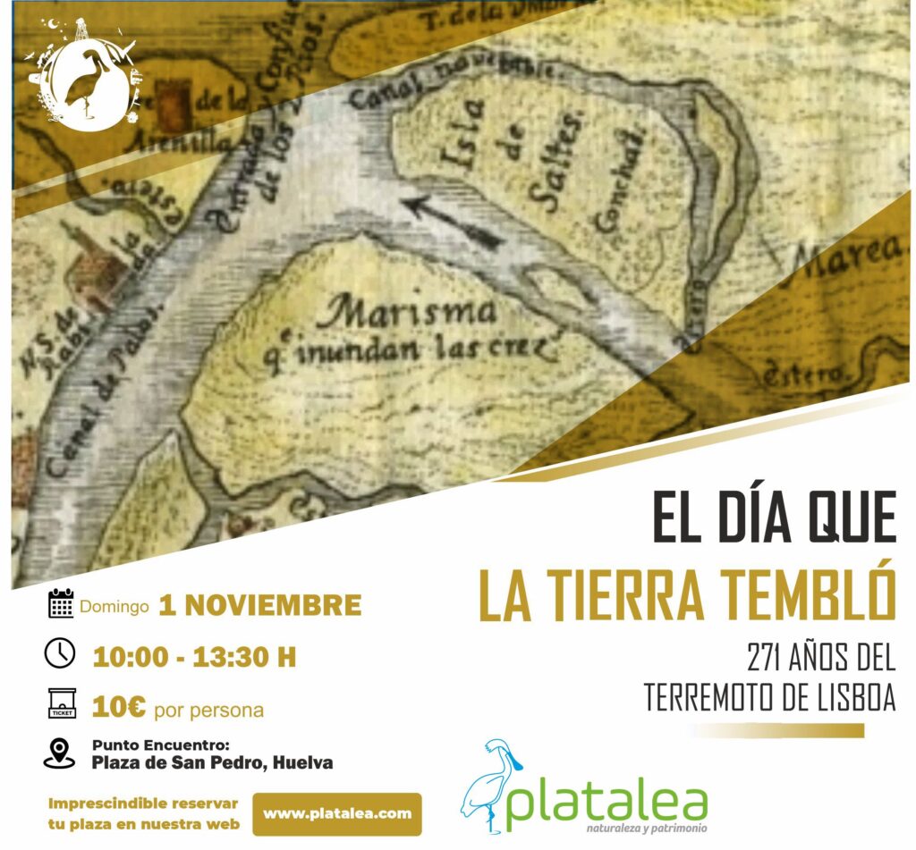 1 nov terrem