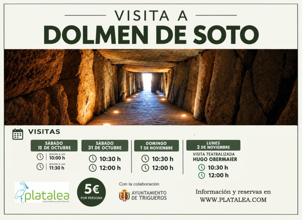 soto oct